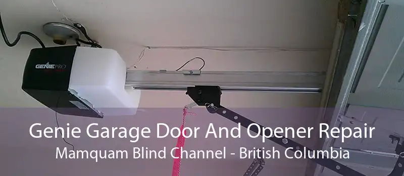 Genie Garage Door And Opener Repair Mamquam Blind Channel - British Columbia