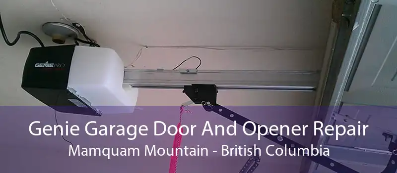 Genie Garage Door And Opener Repair Mamquam Mountain - British Columbia