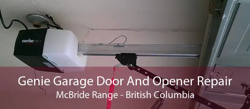 Genie Garage Door And Opener Repair McBride Range - British Columbia