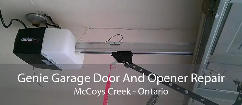 Genie Garage Door And Opener Repair McCoys Creek - Ontario
