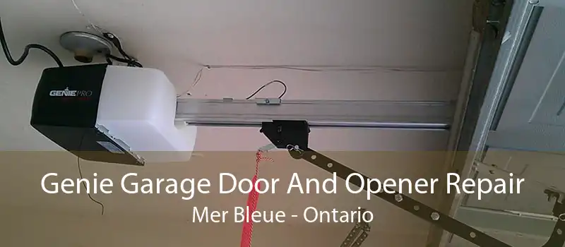 Genie Garage Door And Opener Repair Mer Bleue - Ontario