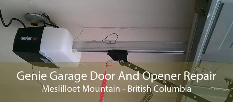 Genie Garage Door And Opener Repair Meslilloet Mountain - British Columbia