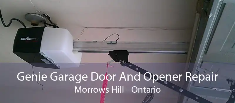 Genie Garage Door And Opener Repair Morrows Hill - Ontario