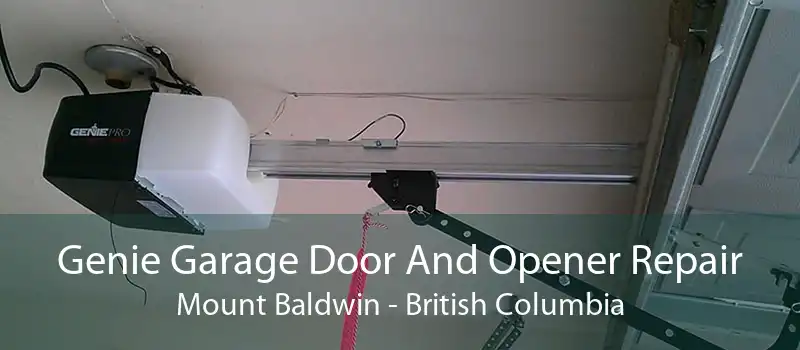 Genie Garage Door And Opener Repair Mount Baldwin - British Columbia