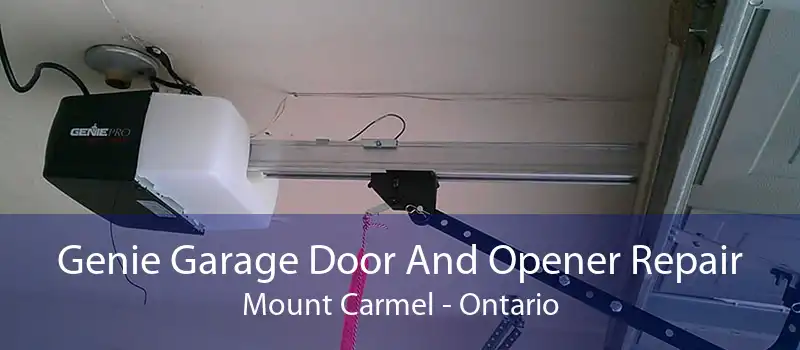 Genie Garage Door And Opener Repair Mount Carmel - Ontario