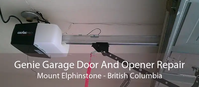 Genie Garage Door And Opener Repair Mount Elphinstone - British Columbia