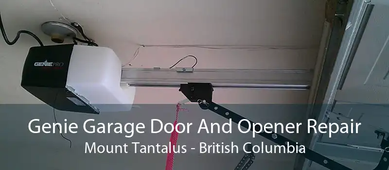 Genie Garage Door And Opener Repair Mount Tantalus - British Columbia