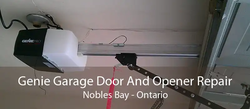 Genie Garage Door And Opener Repair Nobles Bay - Ontario