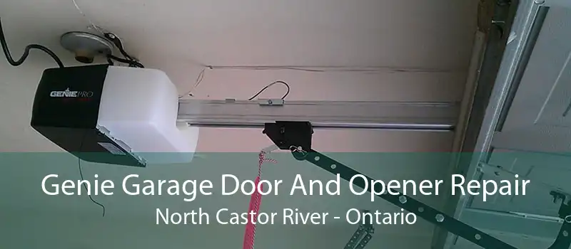 Genie Garage Door And Opener Repair North Castor River - Ontario