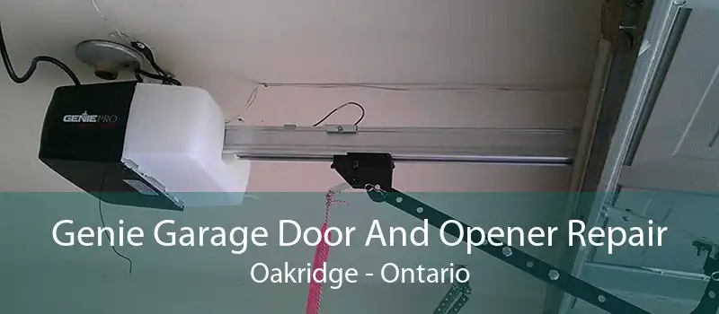 Genie Garage Door And Opener Repair Oakridge - Ontario