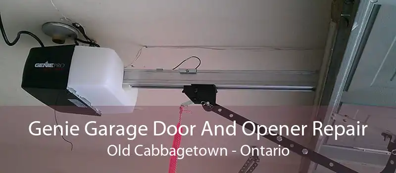 Genie Garage Door And Opener Repair Old Cabbagetown - Ontario