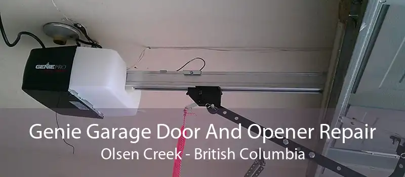 Genie Garage Door And Opener Repair Olsen Creek - British Columbia