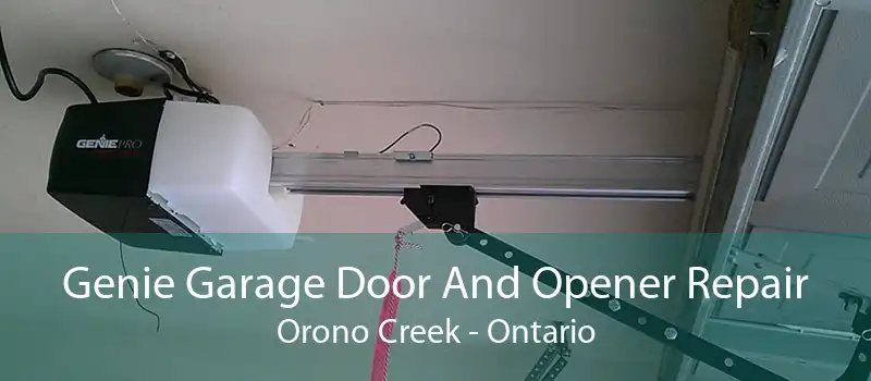 Genie Garage Door And Opener Repair Orono Creek - Ontario