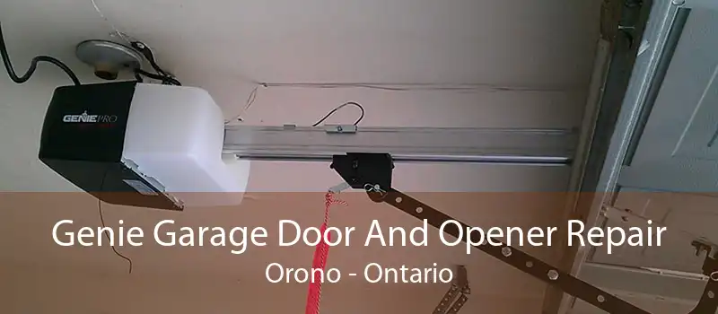 Genie Garage Door And Opener Repair Orono - Ontario