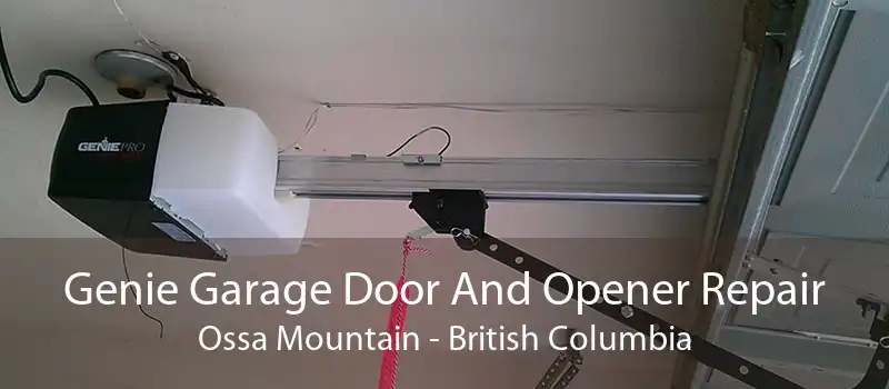 Genie Garage Door And Opener Repair Ossa Mountain - British Columbia