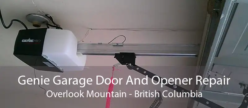 Genie Garage Door And Opener Repair Overlook Mountain - British Columbia