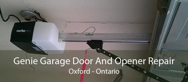 Genie Garage Door And Opener Repair Oxford - Ontario