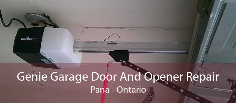 Genie Garage Door And Opener Repair Pana - Ontario