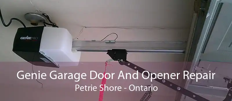 Genie Garage Door And Opener Repair Petrie Shore - Ontario
