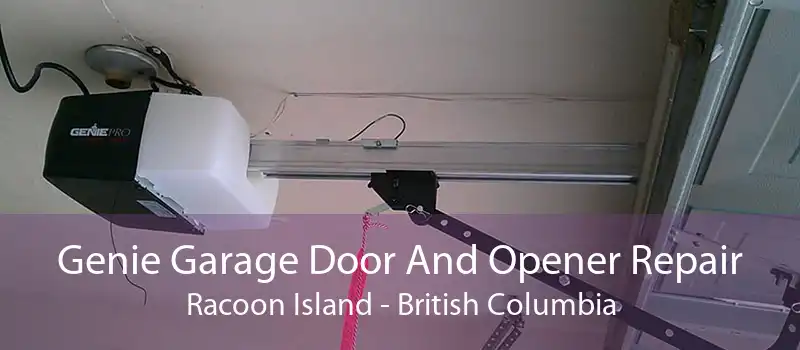 Genie Garage Door And Opener Repair Racoon Island - British Columbia