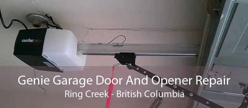 Genie Garage Door And Opener Repair Ring Creek - British Columbia