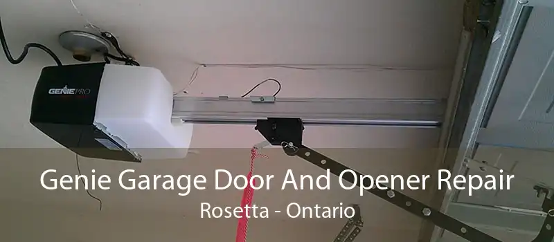 Genie Garage Door And Opener Repair Rosetta - Ontario