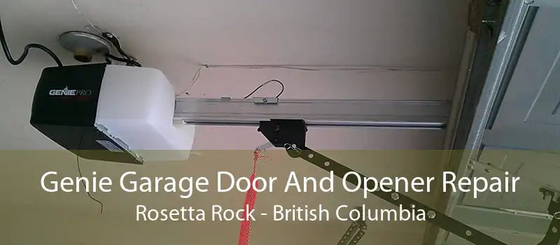 Genie Garage Door And Opener Repair Rosetta Rock - British Columbia