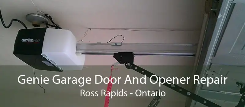 Genie Garage Door And Opener Repair Ross Rapids - Ontario