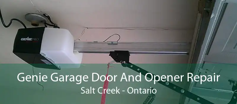 Genie Garage Door And Opener Repair Salt Creek - Ontario