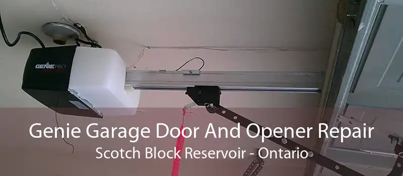 Genie Garage Door And Opener Repair Scotch Block Reservoir - Ontario