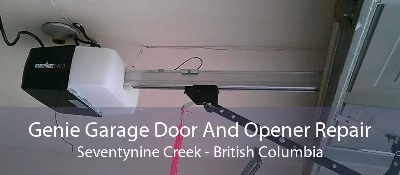 Genie Garage Door And Opener Repair Seventynine Creek - British Columbia