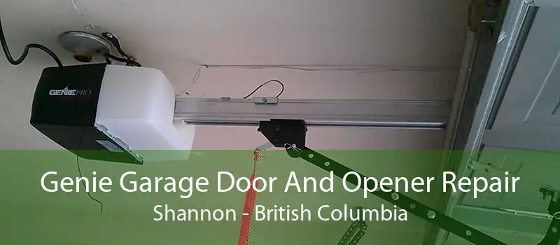 Genie Garage Door And Opener Repair Shannon - British Columbia