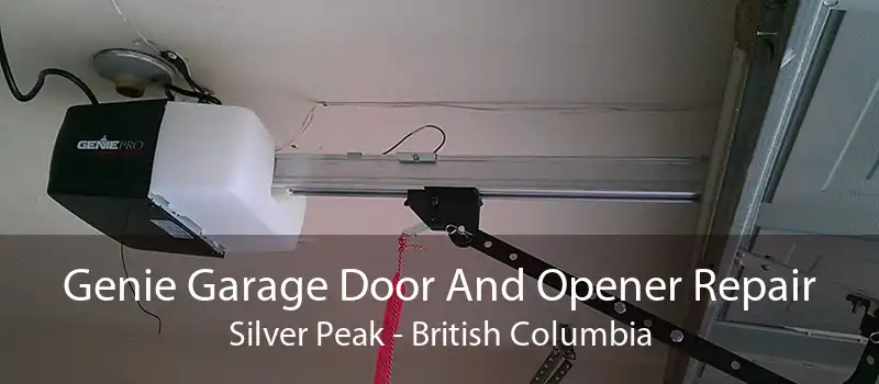 Genie Garage Door And Opener Repair Silver Peak - British Columbia