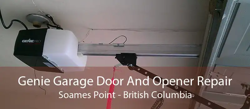 Genie Garage Door And Opener Repair Soames Point - British Columbia