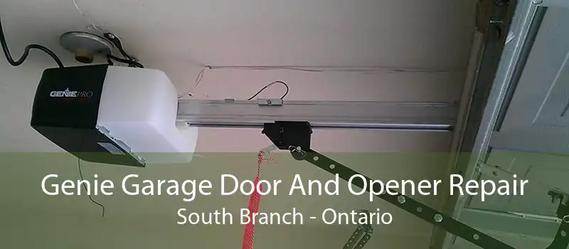 Genie Garage Door And Opener Repair South Branch - Ontario