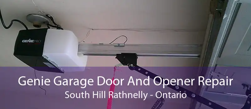 Genie Garage Door And Opener Repair South Hill Rathnelly - Ontario