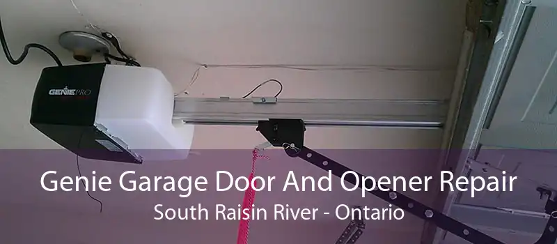 Genie Garage Door And Opener Repair South Raisin River - Ontario