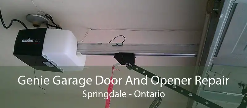 Genie Garage Door And Opener Repair Springdale - Ontario