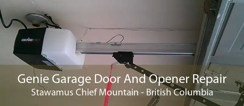 Genie Garage Door And Opener Repair Stawamus Chief Mountain - British Columbia