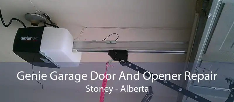 Genie Garage Door And Opener Repair Stoney - Alberta