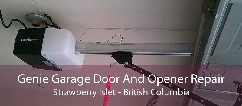 Genie Garage Door And Opener Repair Strawberry Islet - British Columbia