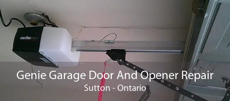 Genie Garage Door And Opener Repair Sutton - Ontario