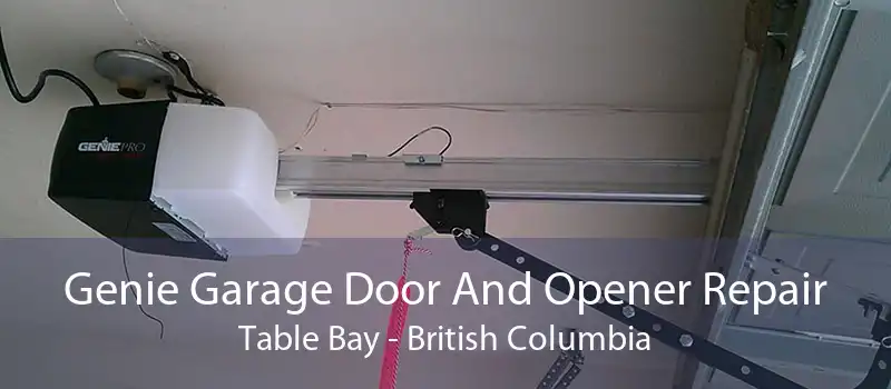 Genie Garage Door And Opener Repair Table Bay - British Columbia
