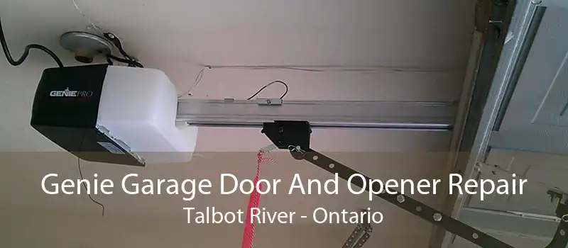 Genie Garage Door And Opener Repair Talbot River - Ontario