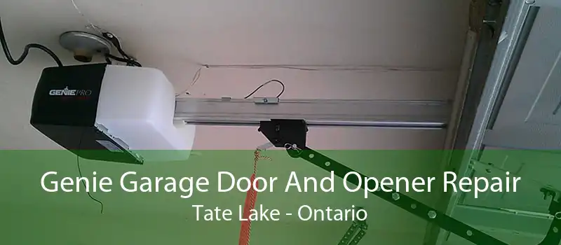 Genie Garage Door And Opener Repair Tate Lake - Ontario