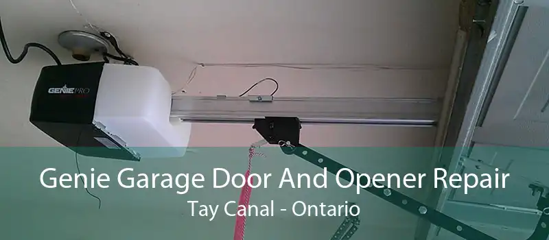 Genie Garage Door And Opener Repair Tay Canal - Ontario
