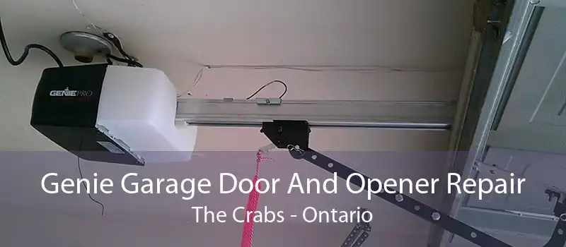 Genie Garage Door And Opener Repair The Crabs - Ontario