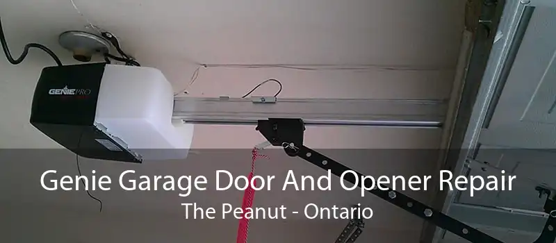 Genie Garage Door And Opener Repair The Peanut - Ontario