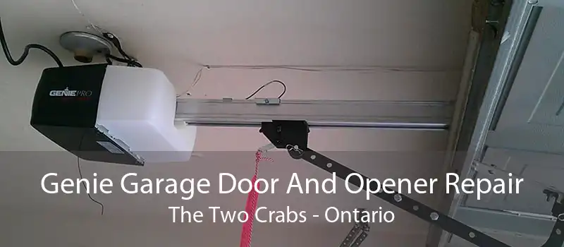 Genie Garage Door And Opener Repair The Two Crabs - Ontario