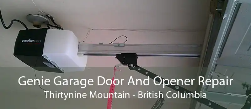 Genie Garage Door And Opener Repair Thirtynine Mountain - British Columbia